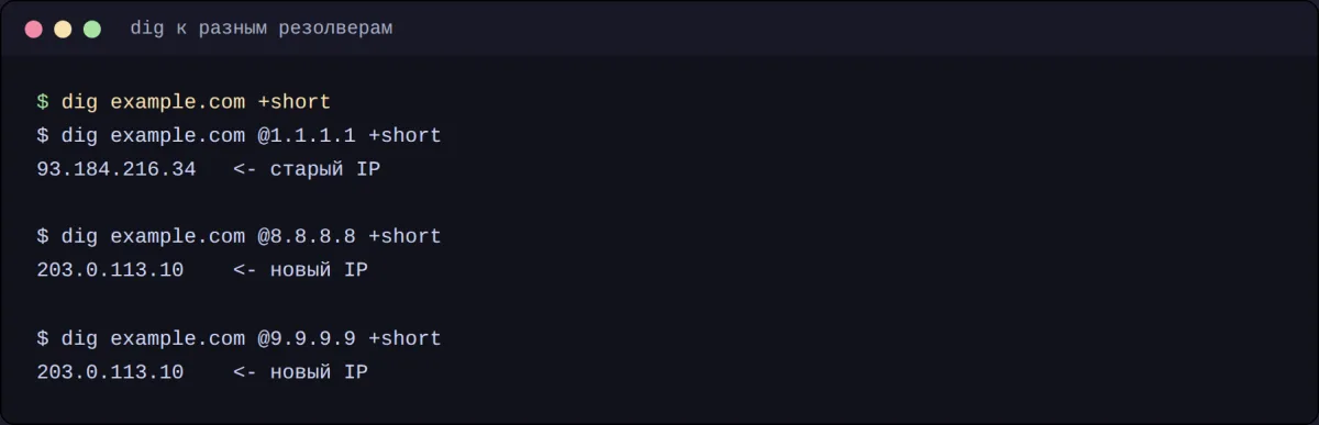 Пропагация DNS — часть резолверов отдаёт старый IP